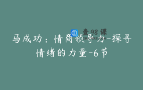 马成功：情商领导力-探寻情绪的力量-6节