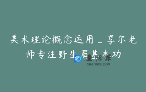 美术理论概念运用_享尔老师专注野生眉基本功