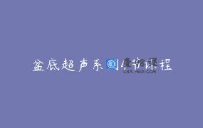 盆底超声系列4节课程