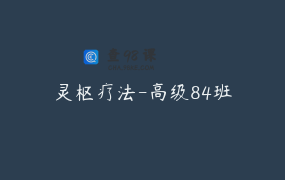 灵枢疗法-高级84班