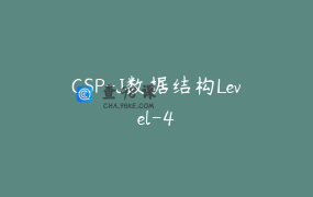CSP-J数据结构Level-4