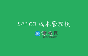 SAP CO 成本管理模块课程