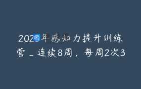 2023年感知力提升训练营_连续8周，每周2次3小时课程_2