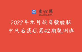 2022年元月颈肩腰膝脑中风后遗症第42期魔训班