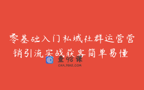 零基础入门私域社群运营营销引流实战获客简单易懂 _ 酷影科技-AI