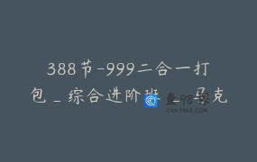 388节-999二合一打包_综合进阶班 _ 马克笔果果