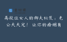 高段位女人的御夫秘笈：老公天天宠！ 让你的婚姻有爱、有性、有钱