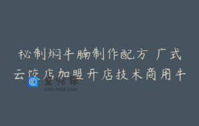 秘制焖牛腩制作配方 广式云饺店加盟开店技术商用牛腩小吃店教程
