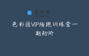 色彩团VIP陪跑训练营一期初阶