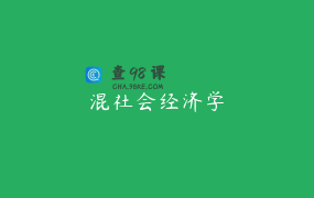 混社会经济学