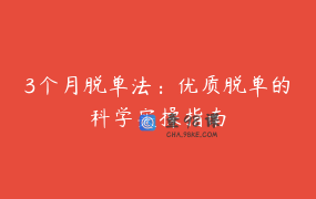 3个月脱单法：优质脱单的科学实操指南