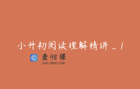 小升初阅读理解精讲_1