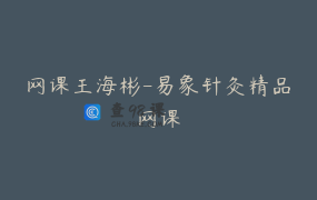 网课王海彬-易象针灸精品网课