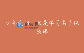 少年爱问：我是学习高手视频课