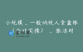 小规模_一般纳税人全盘账（会计实操） _ 张洁财税