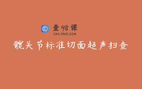 髋关节标准切面超声扫查