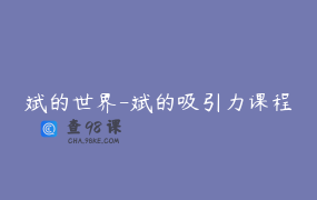斌的世界-斌的吸引力课程