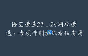 悟空遴选23_24湖北遴选：专项冲刺班试看很有用