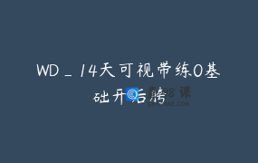 WD_14天可视带练0基础开后胯