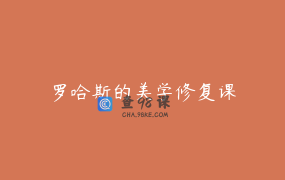 罗哈斯的美学修复课