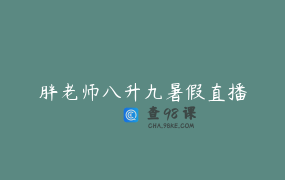 胖老师八升九暑假直播