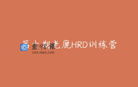 第十期老鹿HRD训练营