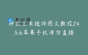 神农玉米挂饰图文教程24.5.6苹果手机请勿直接购买