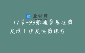 17节-99张通零基础剪发线上理发快剪课程 _ 张通教剪发